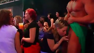 Glamorous amateur women fuck strippers